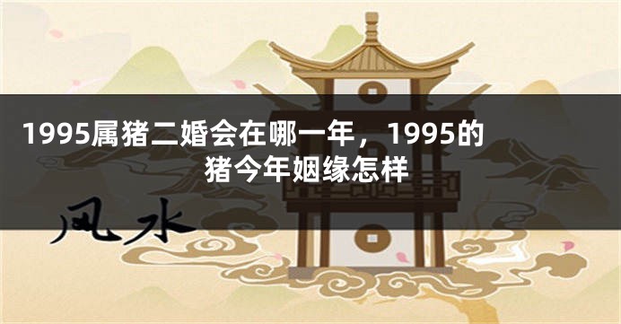 1995属猪二婚会在哪一年，1995的猪今年姻缘怎样