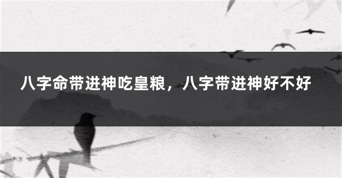 八字命带进神吃皇粮，八字带进神好不好
