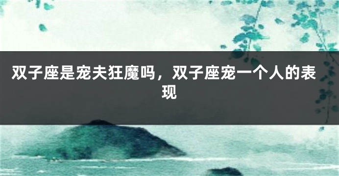 双子座是宠夫狂魔吗，双子座宠一个人的表现