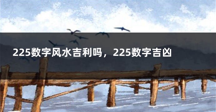 225数字风水吉利吗,225数字吉凶