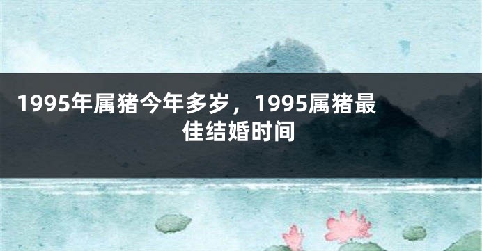 1995年属猪今年多岁，1995属猪最佳结婚时间