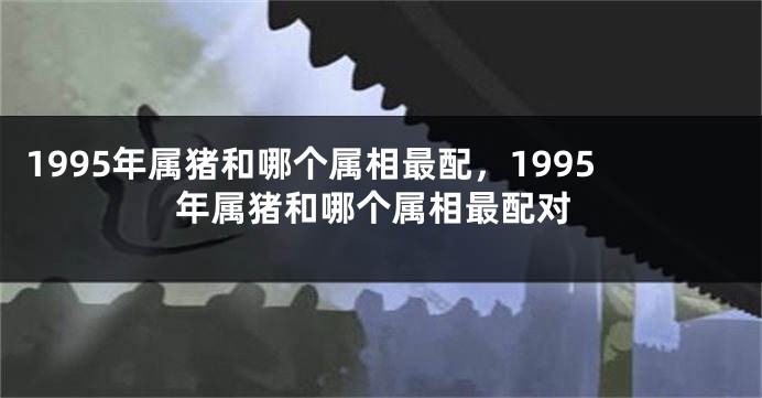 1995年属猪和哪个属相最配，1995年属猪和哪个属相最配对