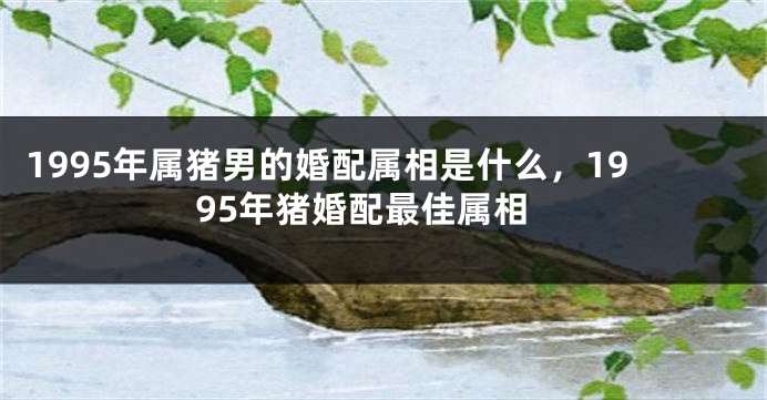 1995年属猪男的婚配属相是什么,1995年猪婚配最佳属相