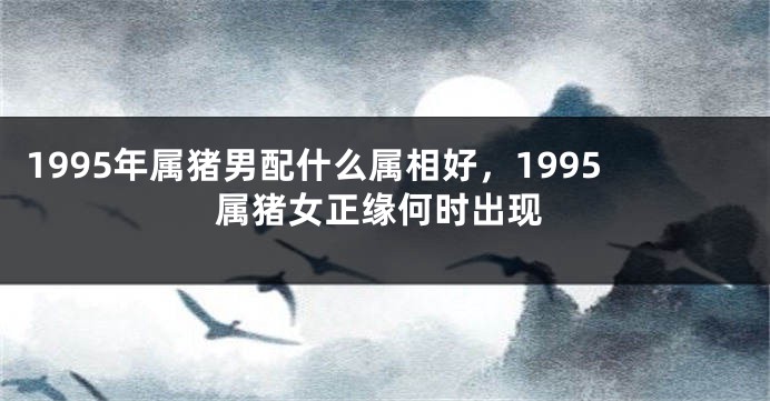 1995年属猪男配什么属相好，1995属猪女正缘何时出现