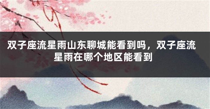 双子座流星雨山东聊城能看到吗,双子座流星雨在哪个地区能看到