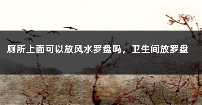 厕所上面可以放风水罗盘吗,卫生间放罗盘