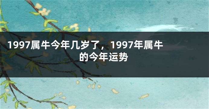 1997属牛今年几岁了，1997年属牛的今年运势