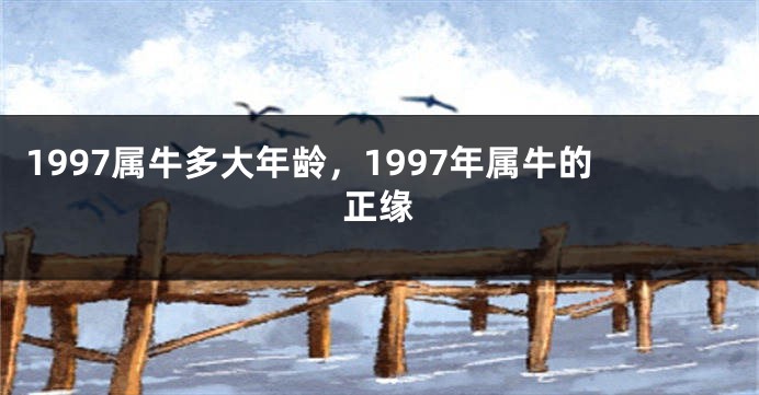 1997属牛多大年龄，1997年属牛的正缘