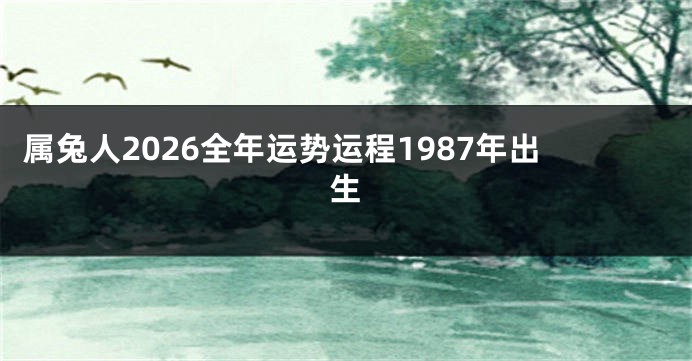属兔人2026全年运势运程1987年出生