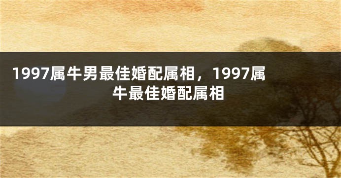 1997属牛男最佳婚配属相，1997属牛最佳婚配属相