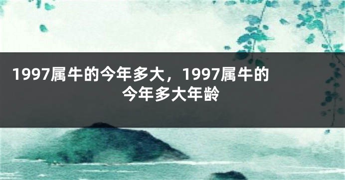 1997属牛的今年多大，1997属牛的今年多大年龄