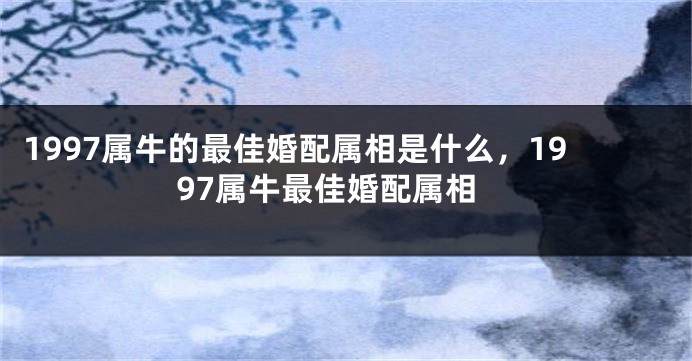 1997属牛的最佳婚配属相是什么，1997属牛最佳婚配属相