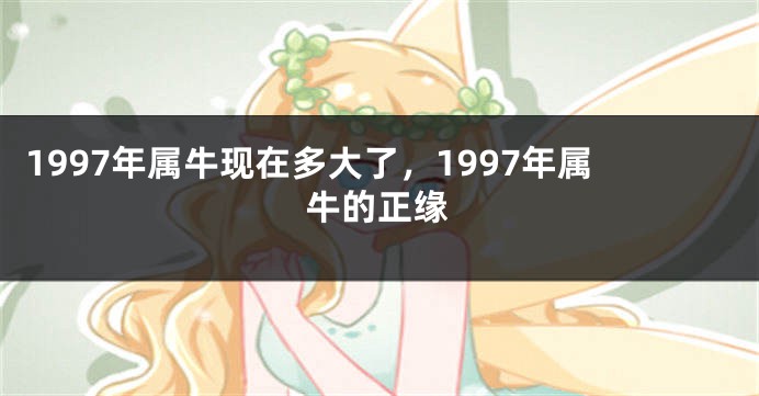 1997年属牛现在多大了，1997年属牛的正缘