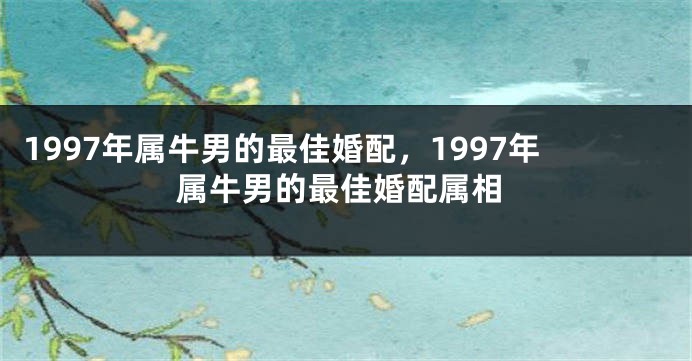 1997年属牛男的最佳婚配，1997年属牛男的最佳婚配属相