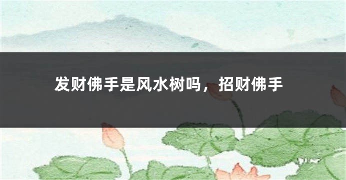 发财佛手是风水树吗,招财佛手
