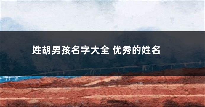 姓胡男孩名字大全 优秀的姓名