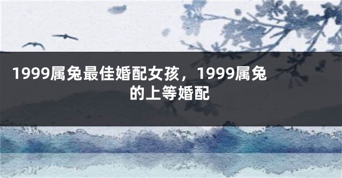 1999属兔最佳婚配女孩,1999属兔的上等婚配