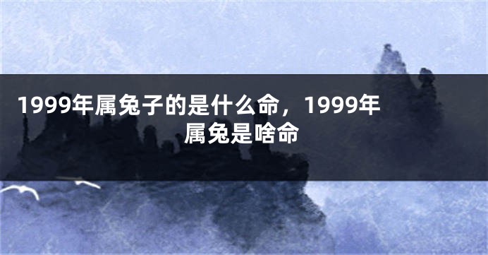 1999年属兔子的是什么命,1999年属兔是啥命