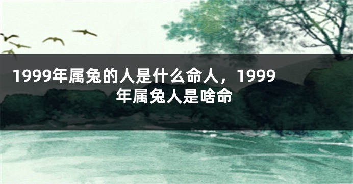 1999年属兔的人是什么命人，1999年属兔人是啥命