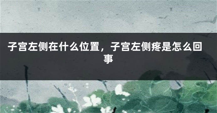 子宫左侧在什么位置，子宫左侧疼是怎么回事