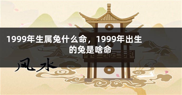 1999年生属兔什么命，1999年出生的兔是啥命