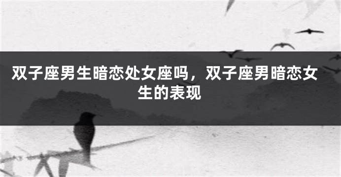 双子座男生暗恋处女座吗,双子座男暗恋女生的表现
