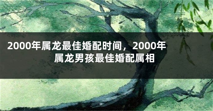 2000年属龙最佳婚配时间，2000年属龙男孩最佳婚配属相
