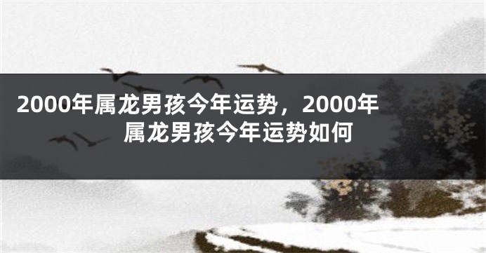 2000年属龙男孩今年运势，2000年属龙男孩今年运势如何
