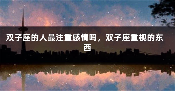 双子座的人最注重感情吗，双子座重视的东西