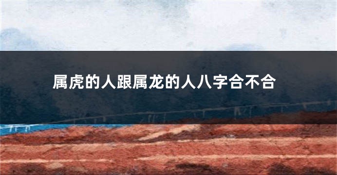 属虎的人跟属龙的人八字合不合