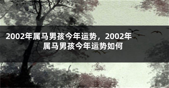 2002年属马男孩今年运势,2002年属马男孩今年运势如何
