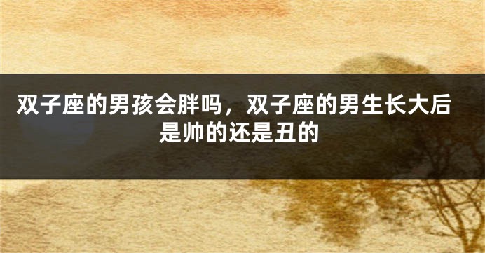 双子座的男孩会胖吗,双子座的男生长大后是帅的还是丑的