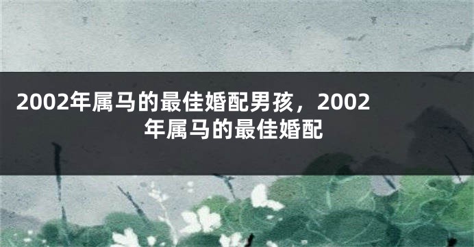 2002年属马的最佳婚配男孩，2002年属马的最佳婚配