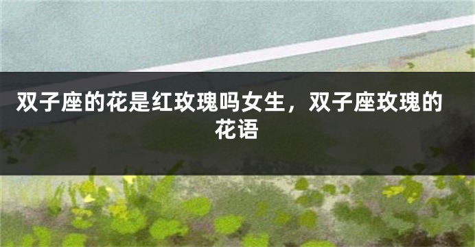 双子座的花是红玫瑰吗女生，双子座玫瑰的花语