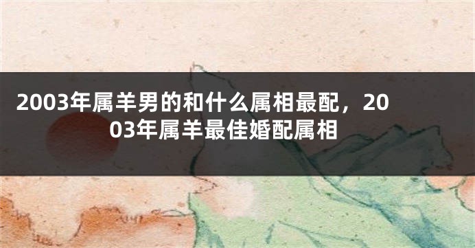 2003年属羊男的和什么属相最配，2003年属羊最佳婚配属相