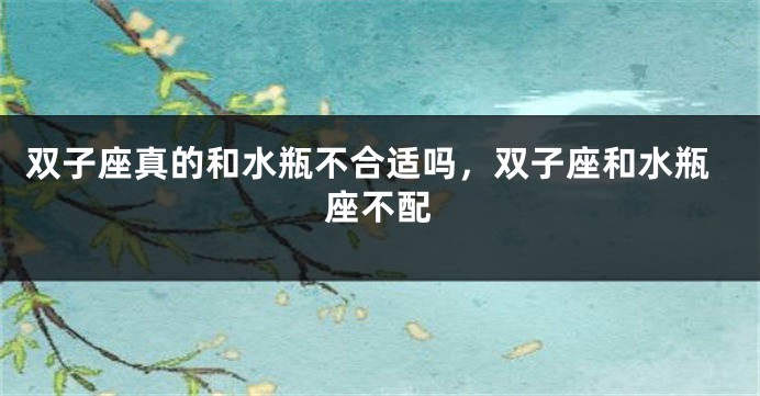 双子座真的和水瓶不合适吗，双子座和水瓶座不配