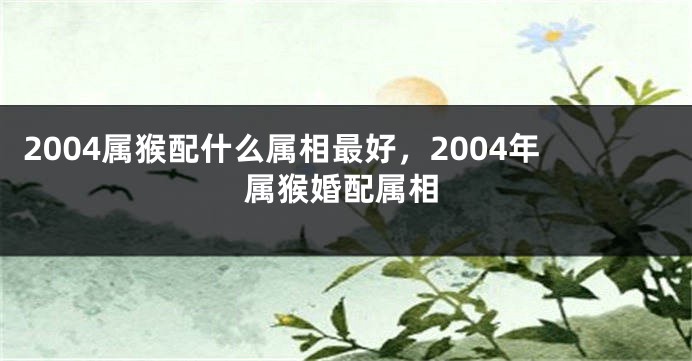 2004属猴配什么属相最好，2004年属猴婚配属相