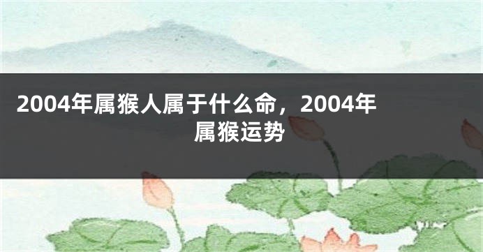 2004年属猴人属于什么命，2004年属猴运势