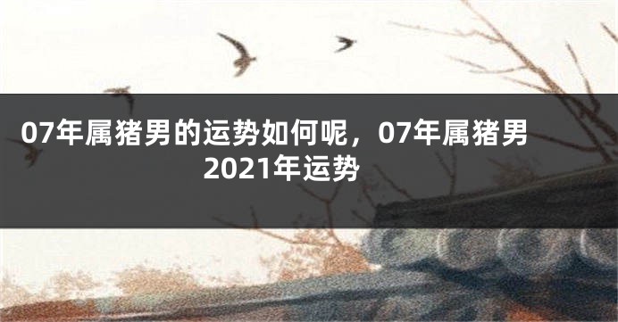 07年属猪男的运势如何呢，07年属猪男2021年运势