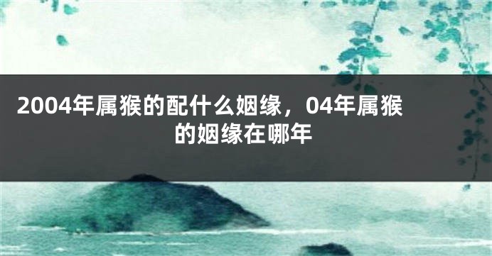 2004年属猴的配什么姻缘，04年属猴的姻缘在哪年