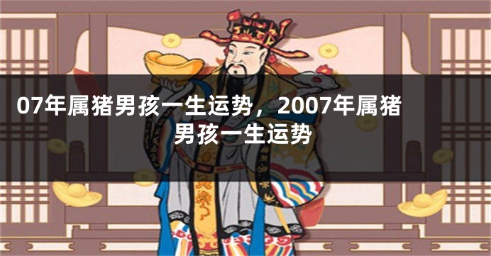 07年属猪男孩一生运势，2007年属猪男孩一生运势