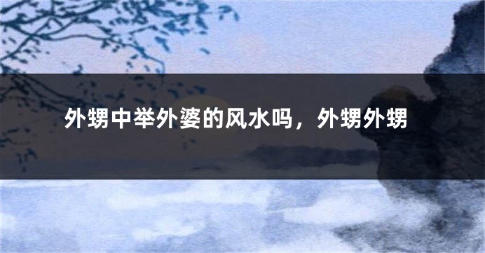 外甥中举外婆的风水吗,外甥外甥