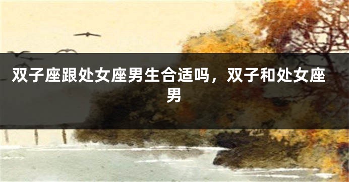 双子座跟处女座男生合适吗，双子和处女座男