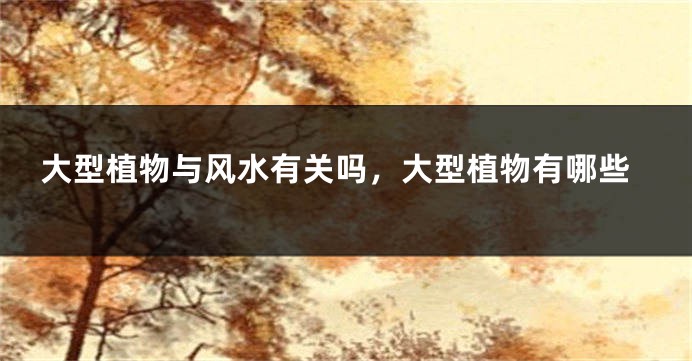 大型植物与风水有关吗，大型植物有哪些