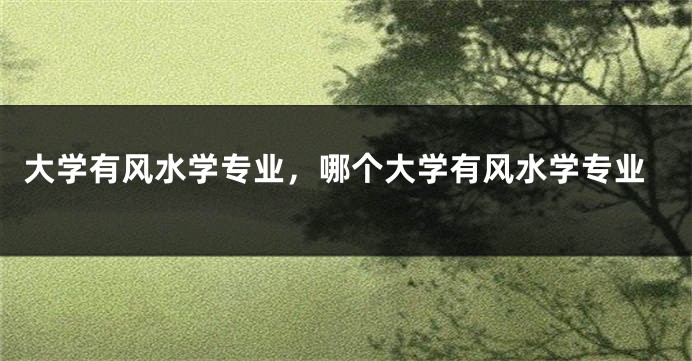 大学有风水学专业,哪个大学有风水学专业
