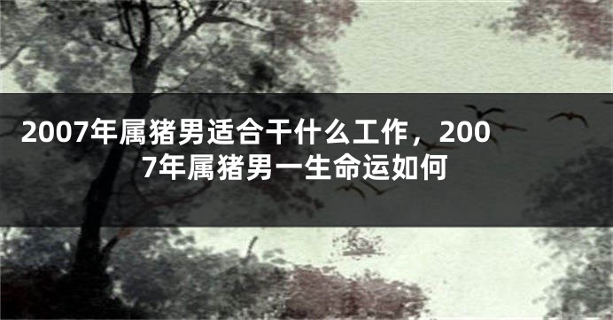 2007年属猪男适合干什么工作，2007年属猪男一生命运如何