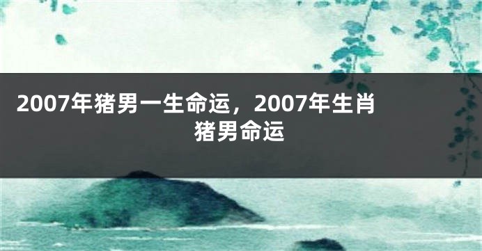 2007年猪男一生命运，2007年生肖猪男命运
