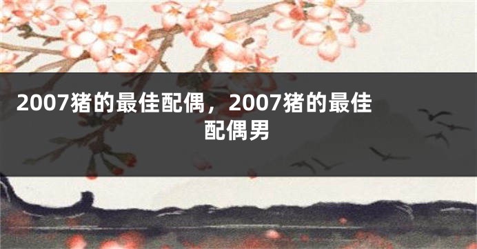 2007猪的最佳配偶，2007猪的最佳配偶男