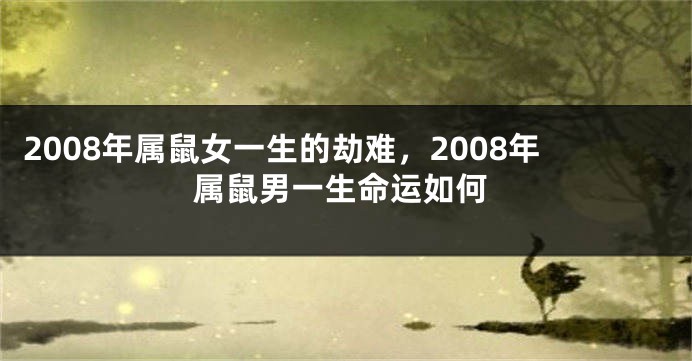 2008年属鼠女一生的劫难,2008年属鼠男一生命运如何