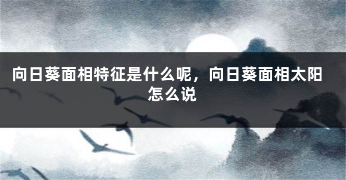 向日葵面相特征是什么呢，向日葵面相太阳怎么说